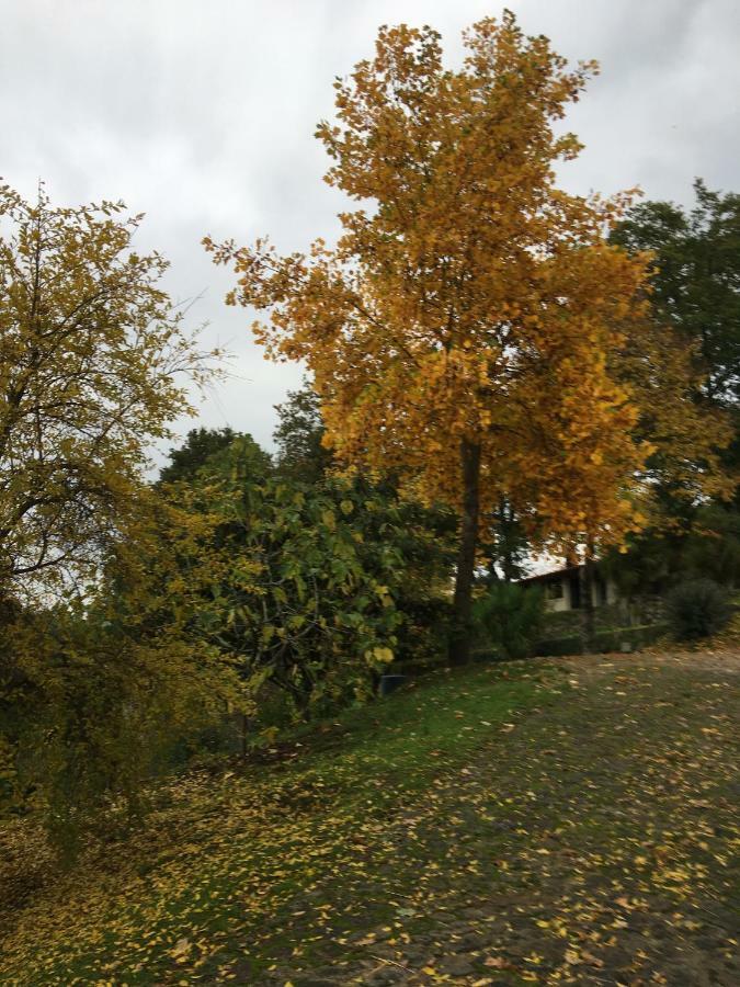 Quinta De Silharezes, Lda Villa ปอนเจ ดา บาร์กา ภายนอก รูปภาพ