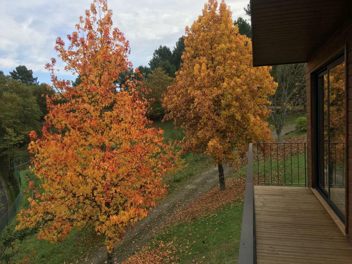Quinta De Silharezes, Lda Villa ปอนเจ ดา บาร์กา ภายนอก รูปภาพ